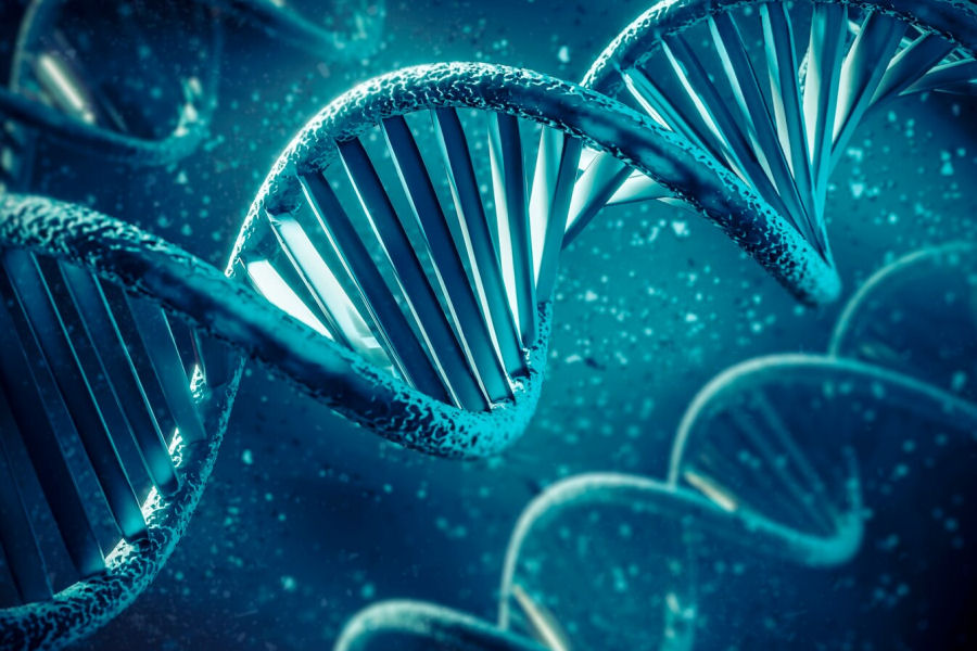 Prenotazione Consulenza Genetica