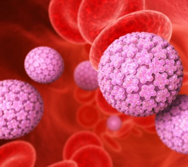 HPV, parliamone...