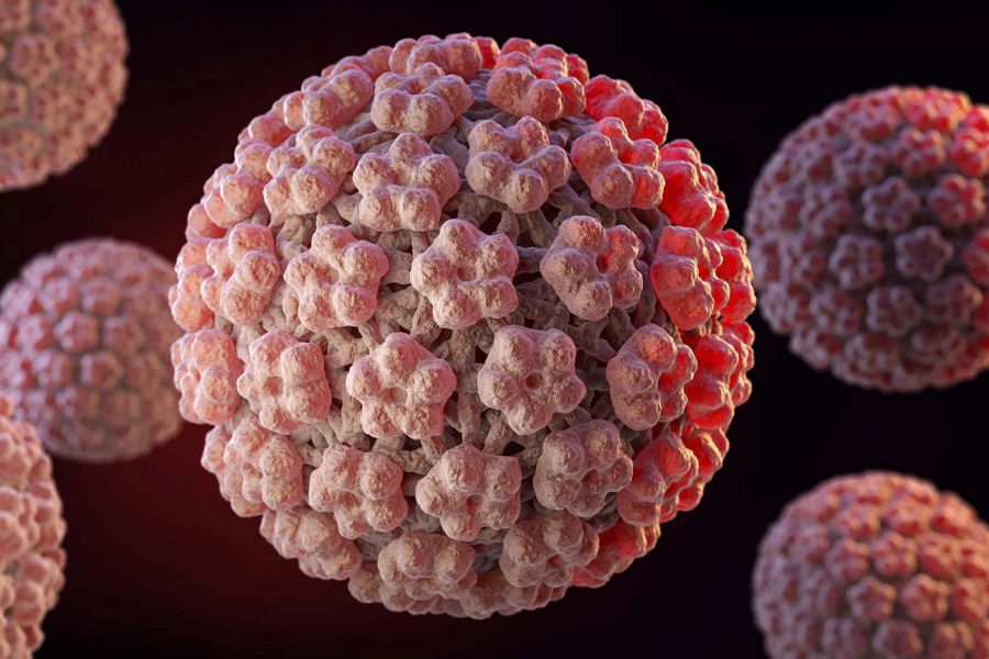 HPV Papilloma virus RNA