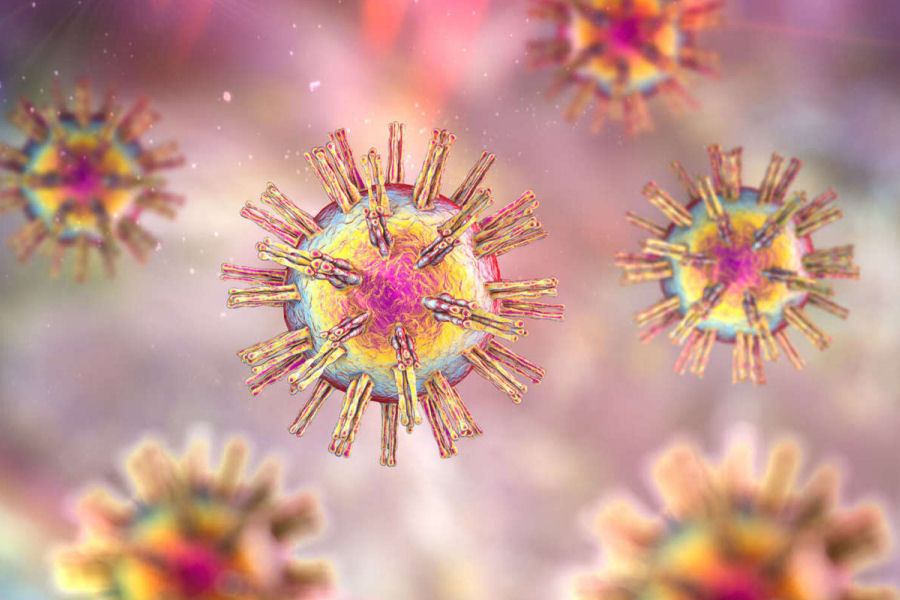 Herpes Virus