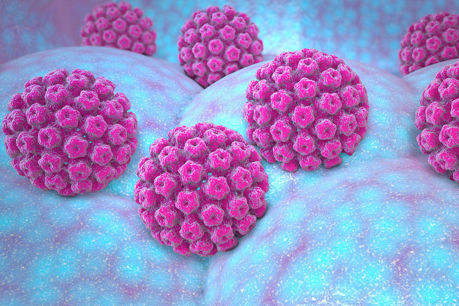 HPV Papilloma virus DNA Tipizzazione