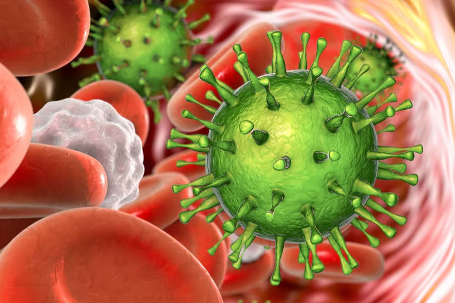 Citomegalovirus