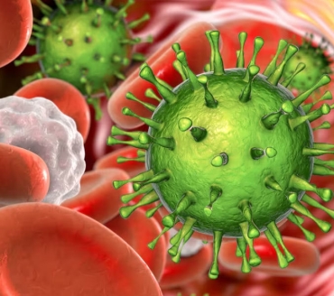 Citomegalovirus