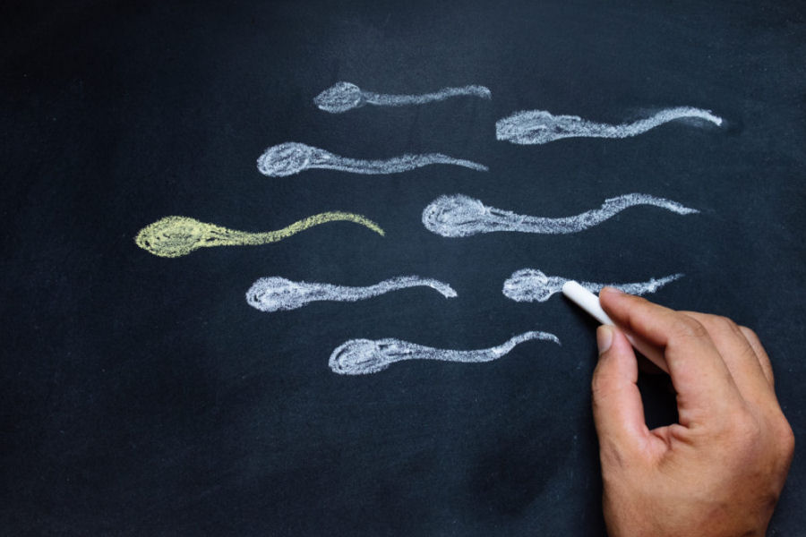 Spermiogramma, quando e perché