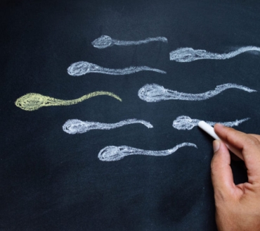 Spermiogramma, quando e perché